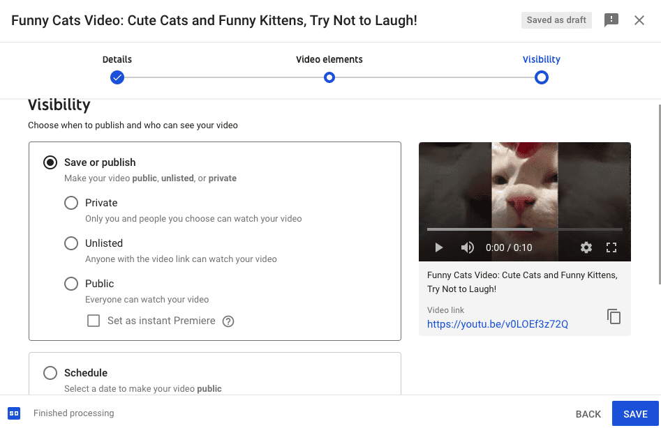 YouTube visibility settings