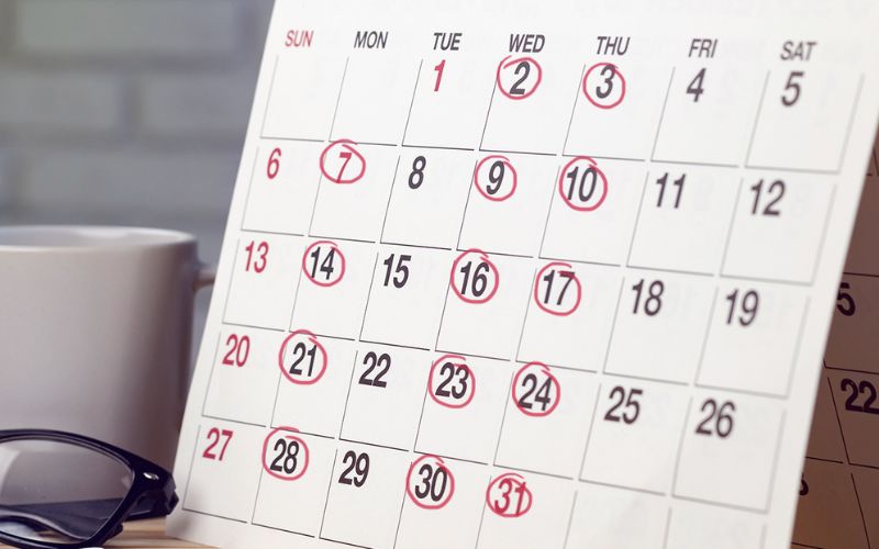 Calendar showing consistent upload schedule to YouTube