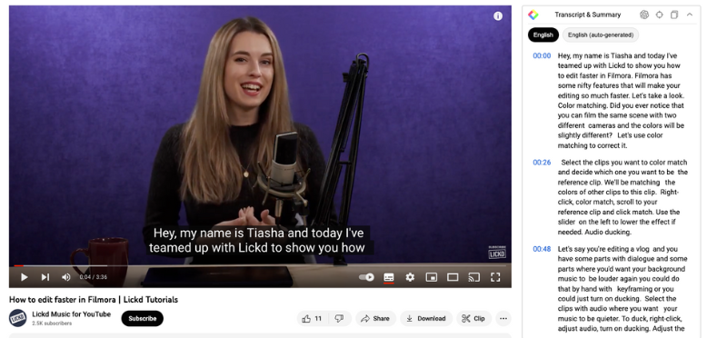 Chat GPT YouTube Transcript